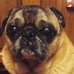 Meet your Posher, Kelsey